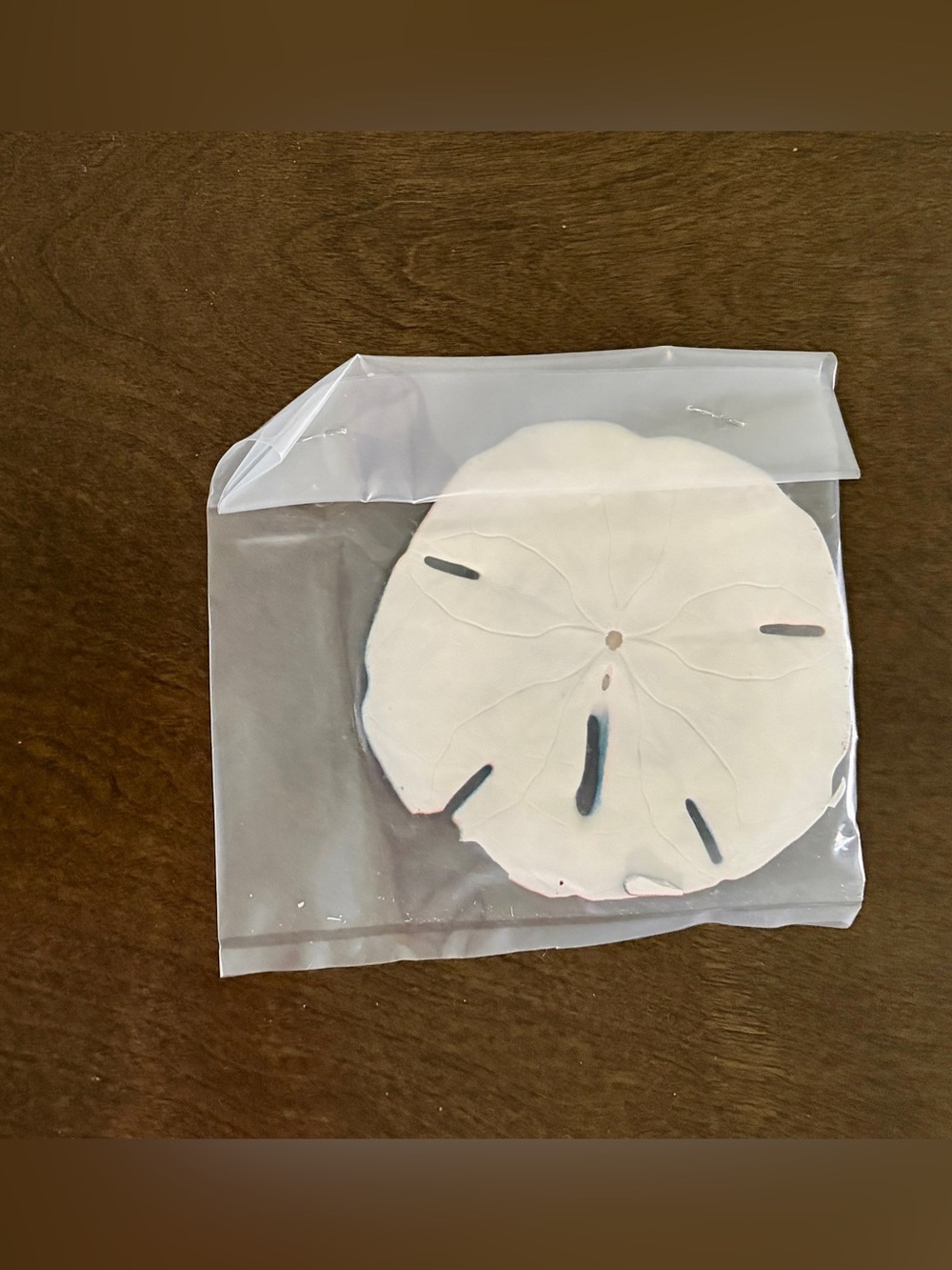 hand-painted rainbow watercolor souvenir sand dollar Panama City Beach Florida - Picture 3 of 3